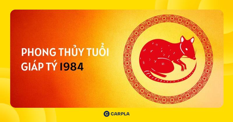 Tổng quan vận trình tử vi tuổi Tý 1984 năm 2022 nữ mạng, sự cân bằng hài hòa
